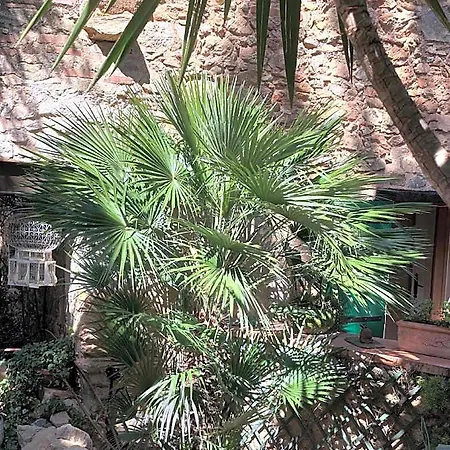 Gæstehus Les Du Mas Peu Del Causse Sainte-Colombe-de-la-Commanderie